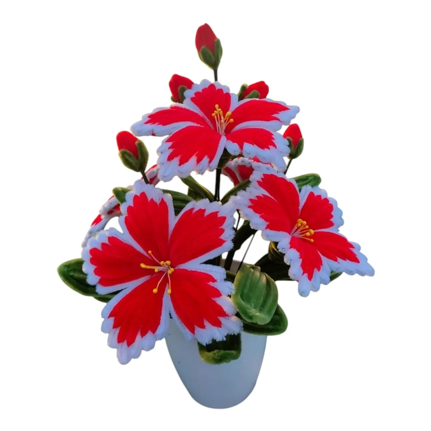 Main product image 1