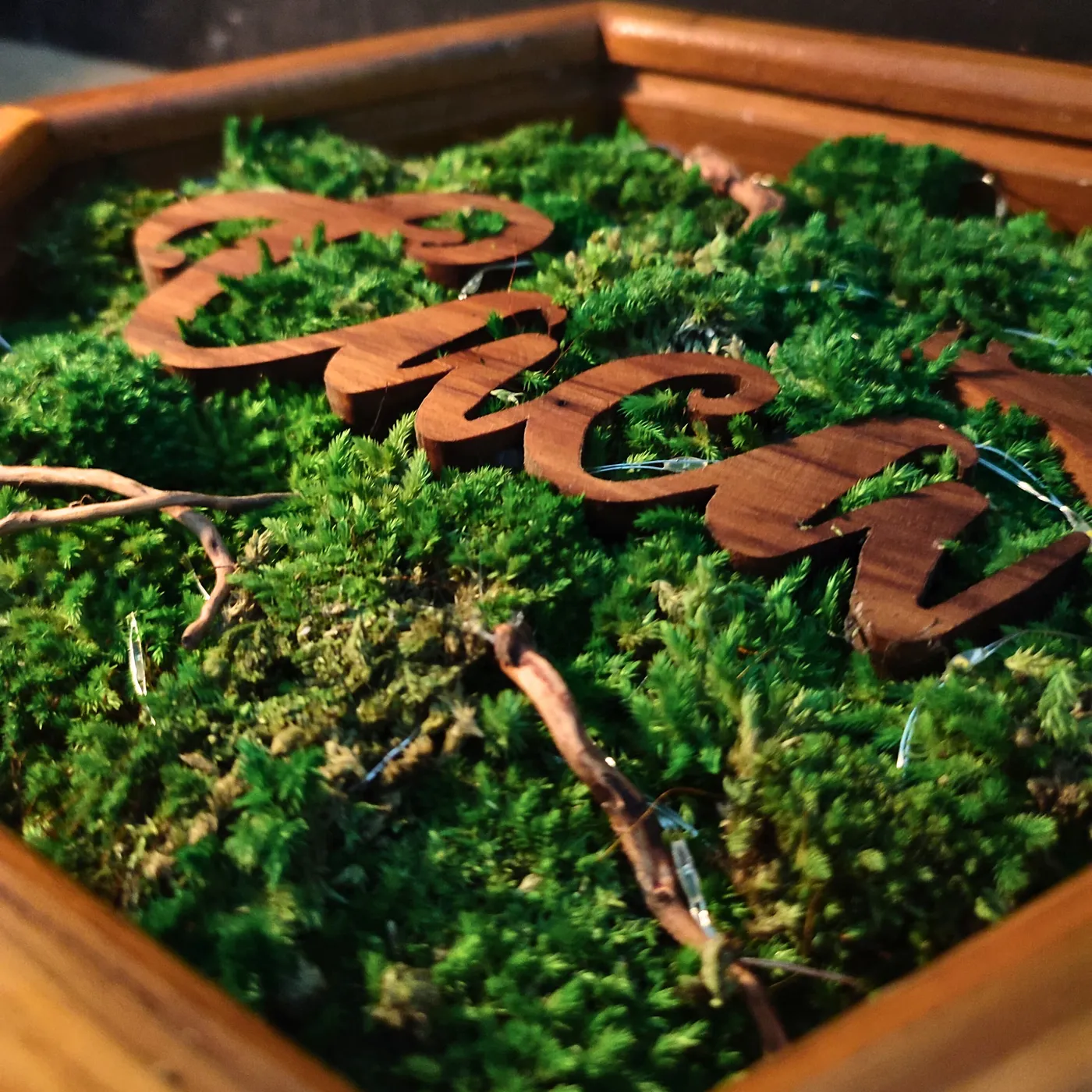 Custom Moss Art Wall Decor Personalized — tampilan 3
