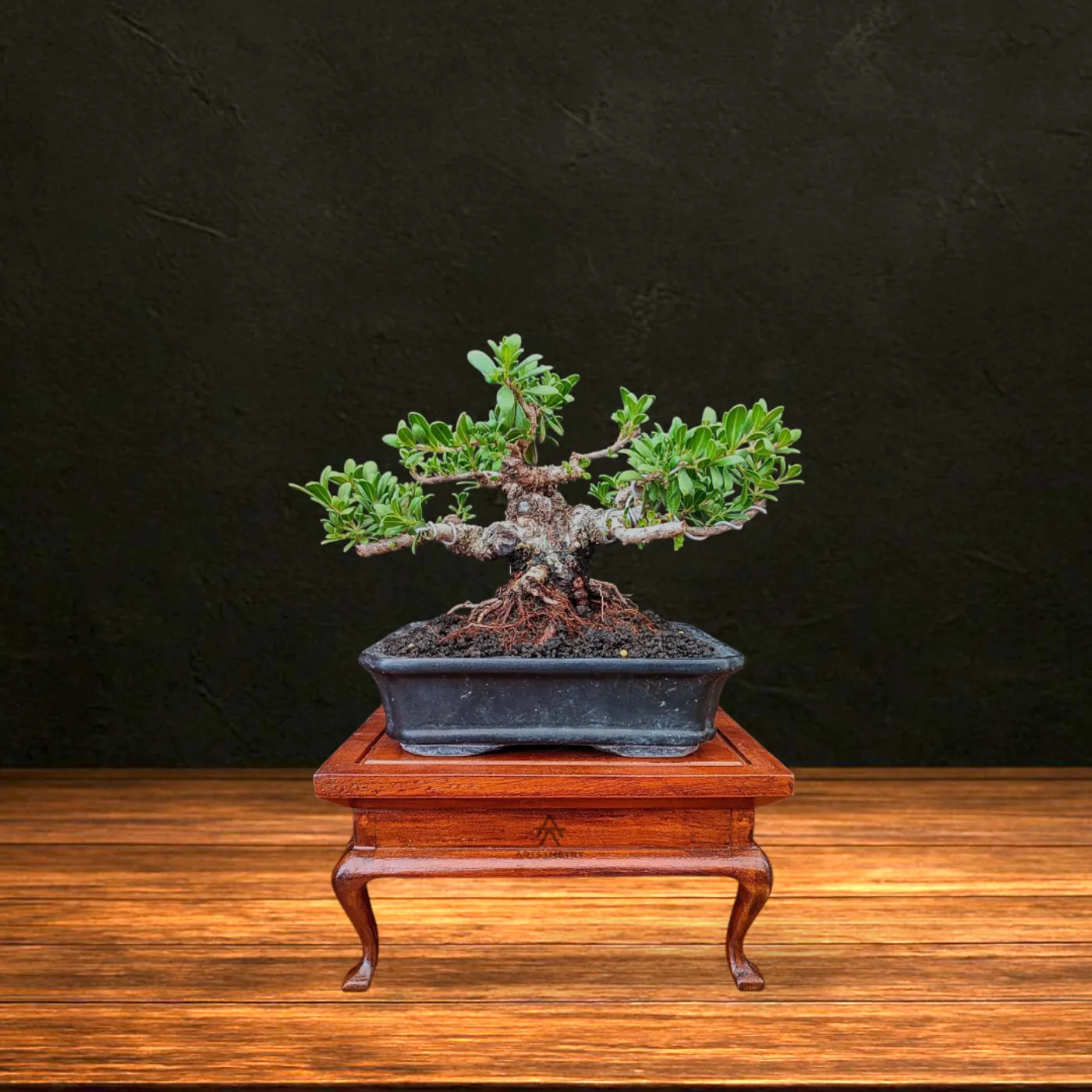 Main product image 1