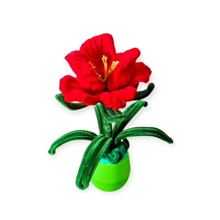 Bunga kawat Bulu warna merah ceria