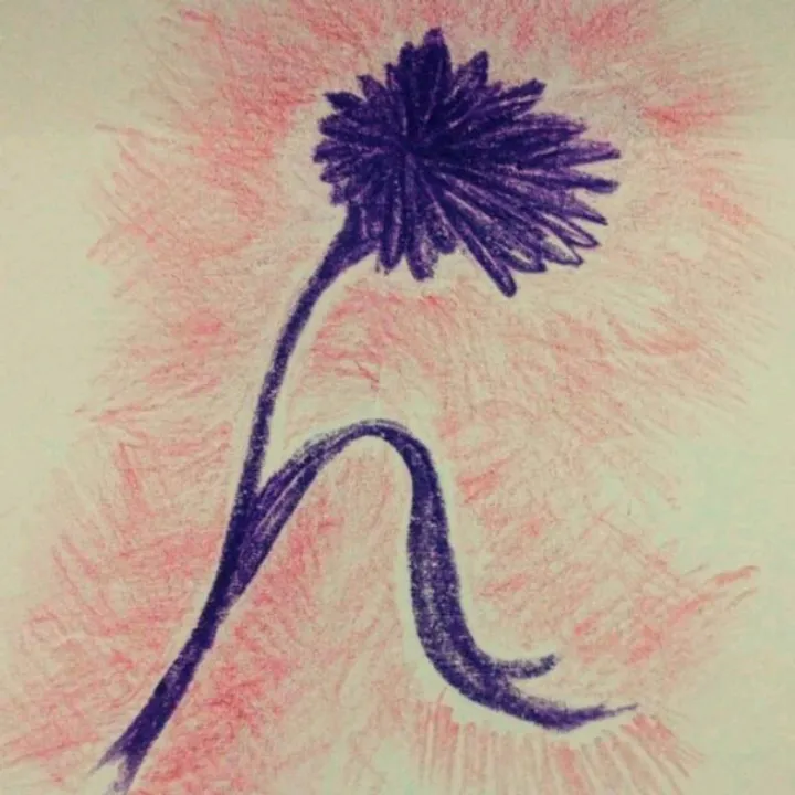 Punara.id