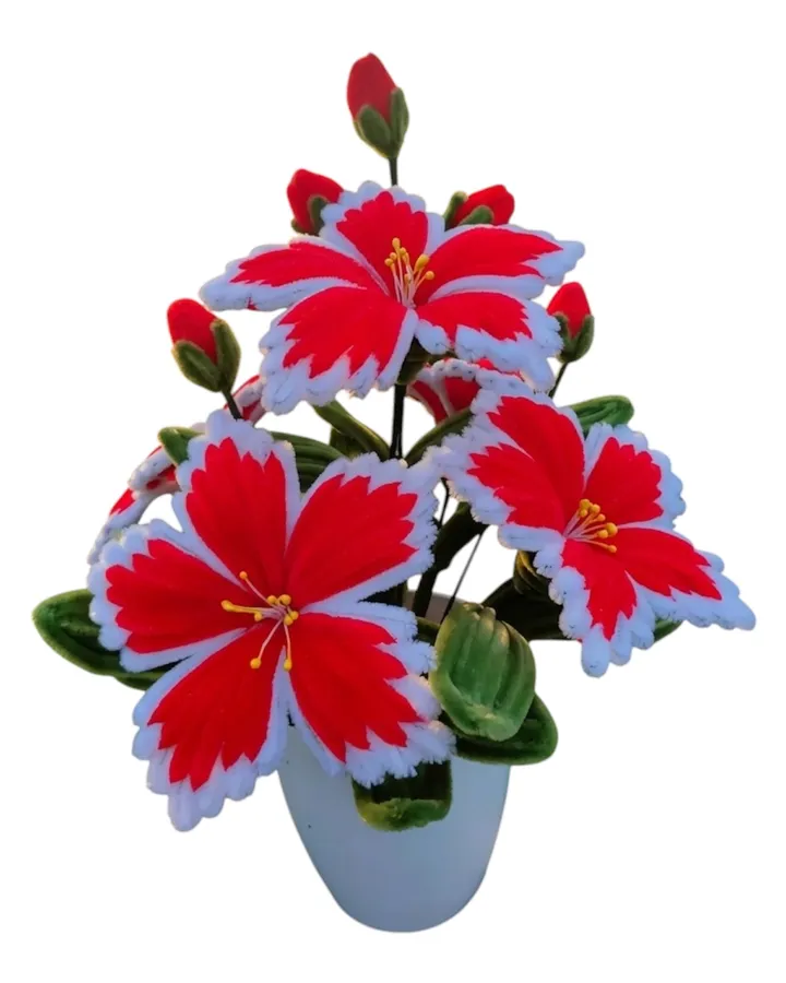 The Velvet Crimson Bloom