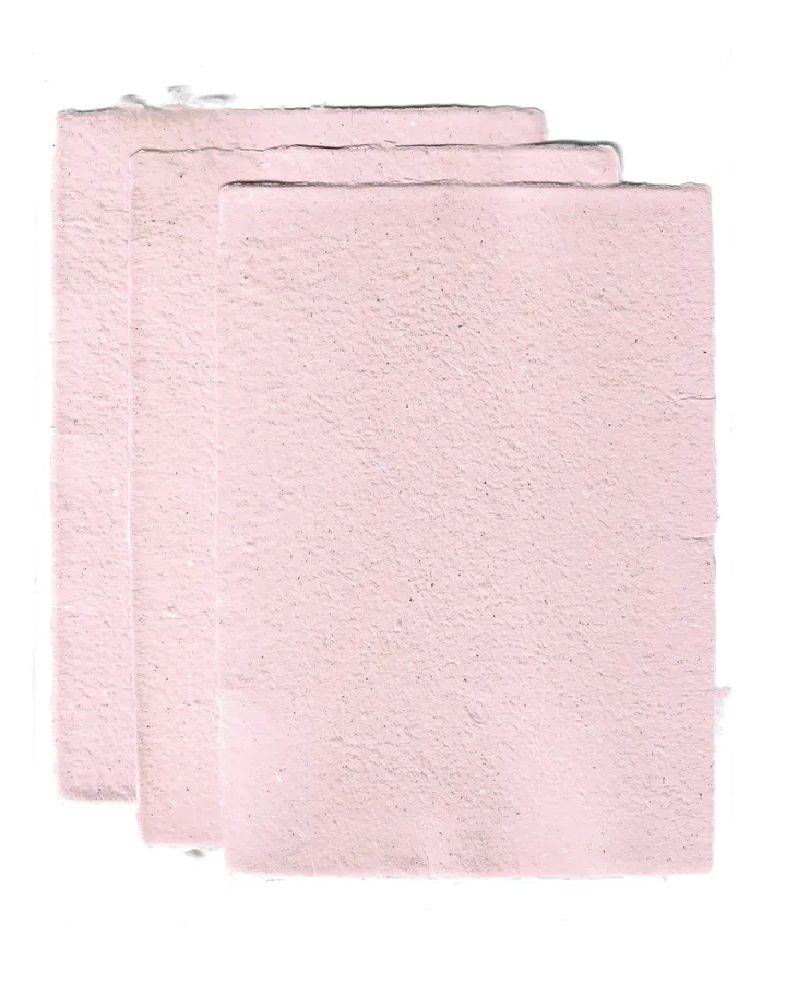 A5 Recycled Paper - Salmon │ Pulpyrus Official